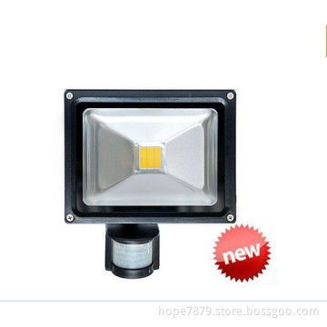 10W PIR Motion Sensing Light